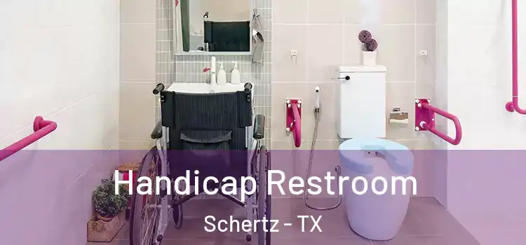 Handicap Restroom Schertz - TX