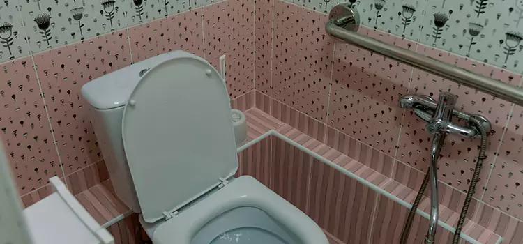 Meeting Diverse Needs With Accessible Restroom Solutions in Schertz, TX